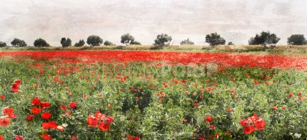 Marokko 1 – Mohnfeld – 120 x 50 cm