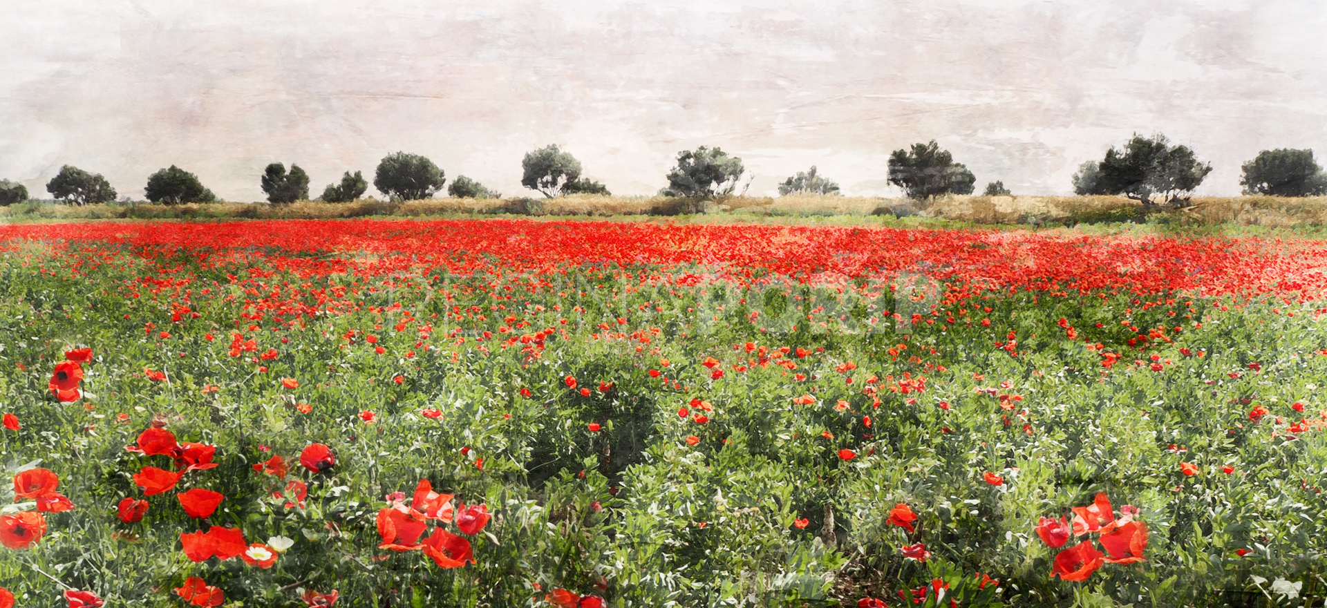 Marokko 1 – Mohnfeld – 120 x 50 cm