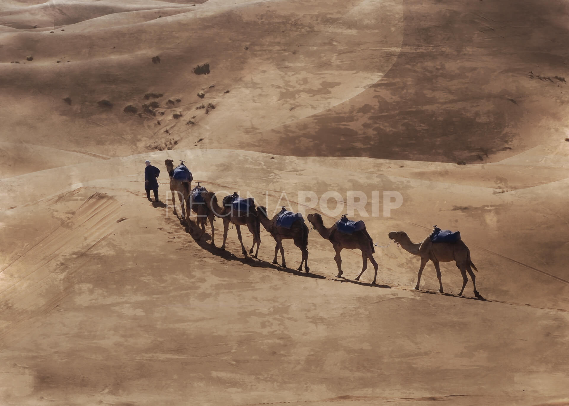 Marokko Sahara 1 – 80 x60 cm